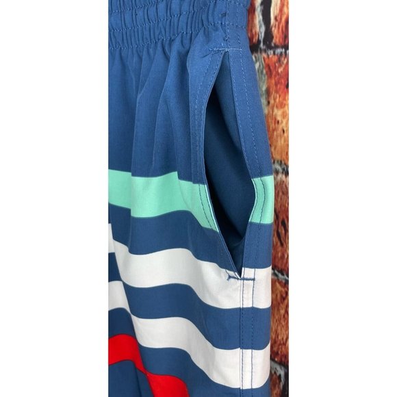 Chubbies Men’s Striped Swim Trunks Shorts Medium Mesh Liner Blue Red Green White - Picture 2 of 7